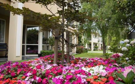 ilam-arvida-well-appointed-1-bedroom-apartment-53535