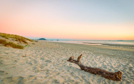 karaka-pines-papamoa-3-bedroom-units-ready-for-your-enquiry-43452