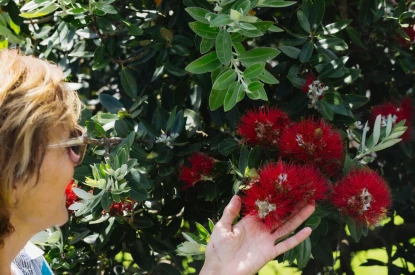 karaka-pines-waihi-beach-2-bedroom-2-bathroom-double-garage-45188