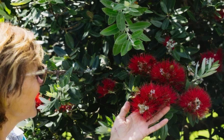 karaka-pines-waihi-beach-2-bedroom-2-bathroom-double-garage-45188