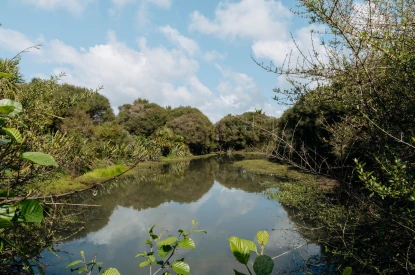 knightsbridge-arvida-one-bedroom-apartment-copy-copy-39493