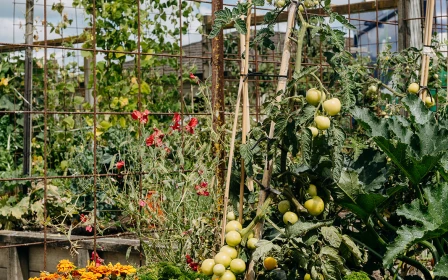 mary-doyle-arvida-spacious-3-bedroom-pet-friendly-villa-47839