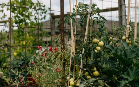 mary-doyle-arvida-two-bedroom-villa-available-46021