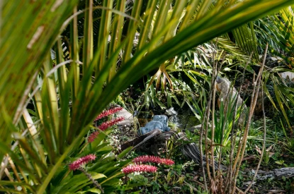 mayfair-auckland-arvida-brand-new-mayfair-apartments-copy-copy-50842