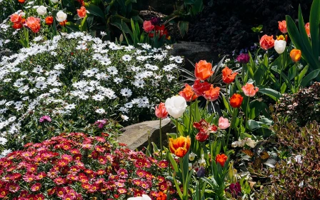 ocean-shores-arvida-one-bedroom-ground-floor-apartment-copy-copy-43898