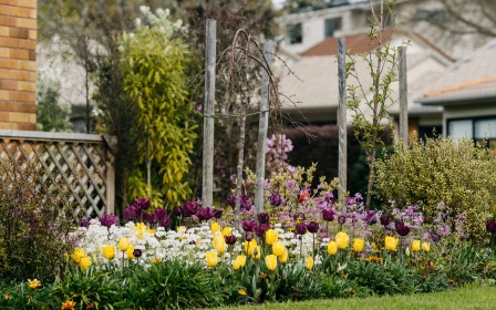 parklane-auckland-arvida-one-bedroom-serviced-apartment-41210