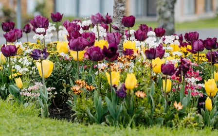 parklane-auckland-arvida-one-bedroom-serviced-apartment-copy-copy-49503