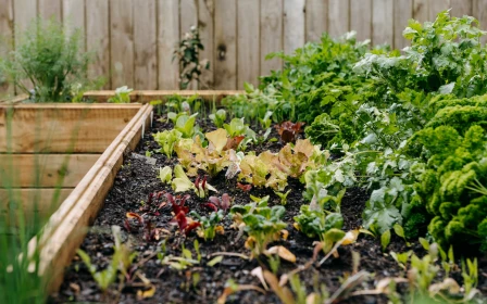 parklane-auckland-arvida-two-bedroom-north-facing-villa-41101