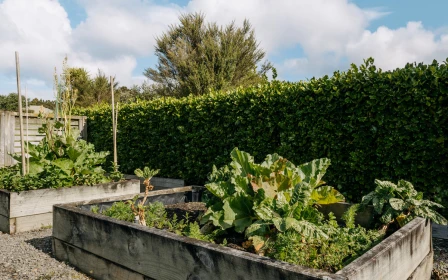 peninsula-club-arvida-one-bedroom-apartment-copy-copy-46354