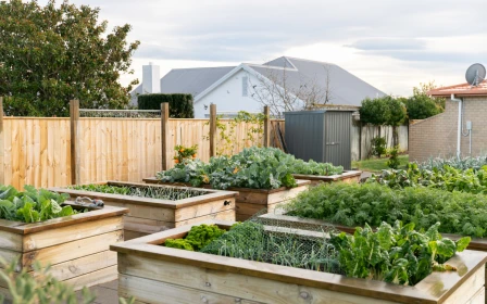 summerset-in-the-vines-havelock-north-independent-living-1-bedroom-apartments-53631