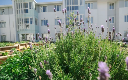 the-grove-orewa-pack-up-and-move-to-the-beach-pets-too-40921