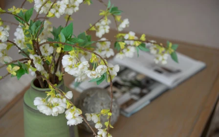 woodlands-boutique-retirement-village-3-kawakawa-grove-kahikatea-copy-copy-48547