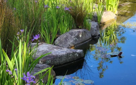 woodlands-boutique-retirement-village-3-kawakawa-grove-kahikatea-copy-copy-48550