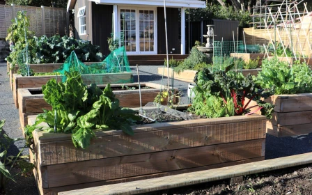 woodlands-boutique-retirement-village-3-kawakawa-grove-kahikatea-copy-copy-48553