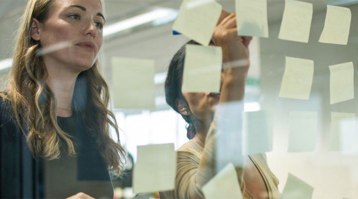 village guide video 1